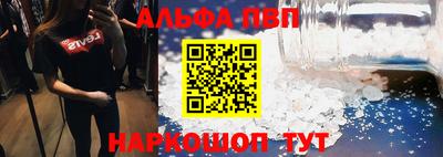 гидра Будённовск