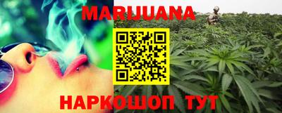 гидра Будённовск
