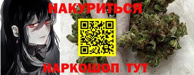 гидра Будённовск