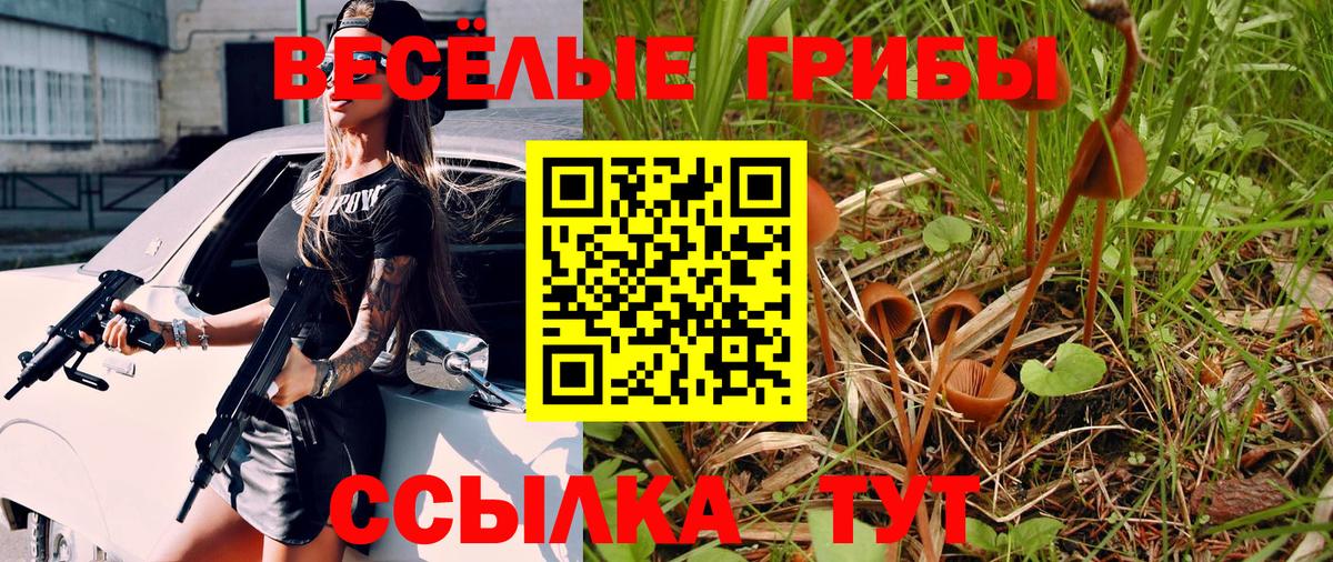 Галлюциногенные грибы прущие грибы Прохладный