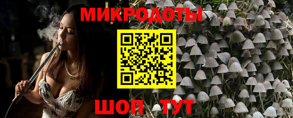 Прохладный  Галлюциногенные грибы прущие грибы  где можно купить   Вход с VPN 